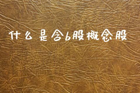 什么是含b股概念股_https://wap.letulww.com_外汇交易_第1张