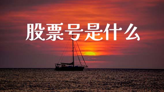 股票号是什么_https://wap.letulww.com_投资策略_第1张