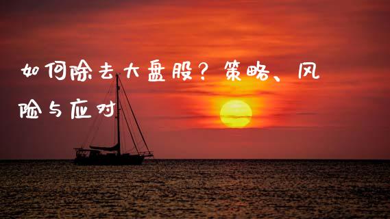 如何除去大盘股?策略、风险与应对_投资策略_第1张_外汇交易_投资策略_融资租赁_投资管理 如何除去大盘股?策略、风险与应对_https://wap.letulww.com_投资策略_第1张