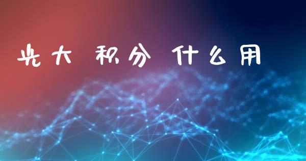 光大 积分 什么用_https://wap.letulww.com_投资管理_第1张