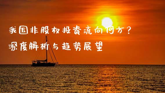 我国非股权投资流向何方？深度解析与趋势展望_https://wap.letulww.com_投资策略_第1张