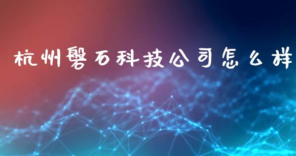杭州磐石科技公司怎么样_https://wap.letulww.com_融资租赁_第1张