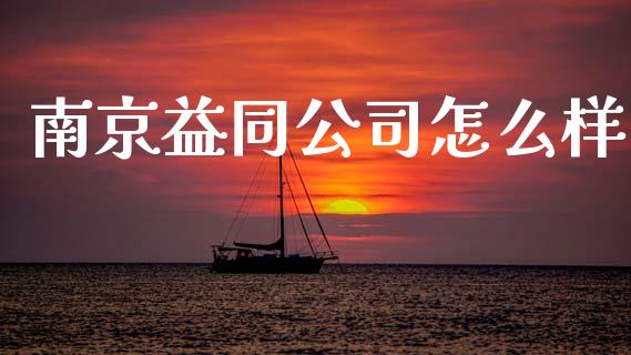 南京益同公司怎么样_https://wap.letulww.com_融资租赁_第1张