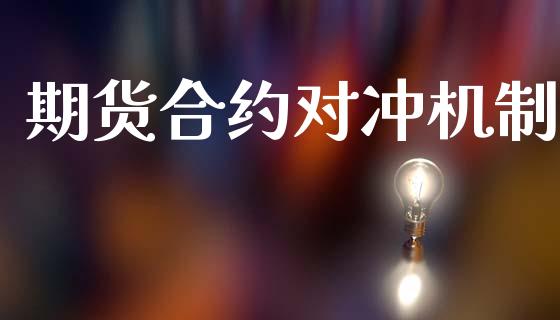 期货合约对冲机制_https://wap.letulww.com_投资管理_第1张