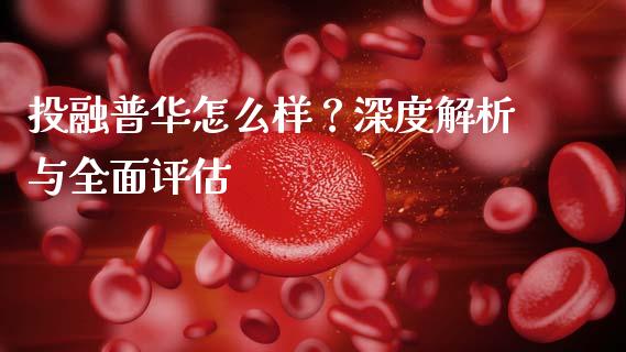 投融普华怎么样？深度解析与全面评估_https://wap.letulww.com_外汇交易_第1张