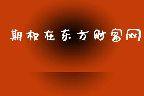 期权在东方财富网_https://wap.letulww.com_投资策略_第1张