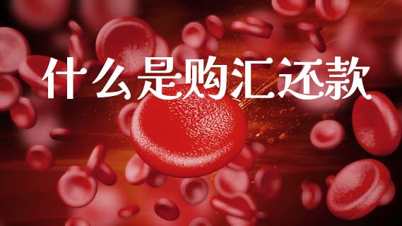 什么是购汇还款_https://wap.letulww.com_外汇交易_第1张