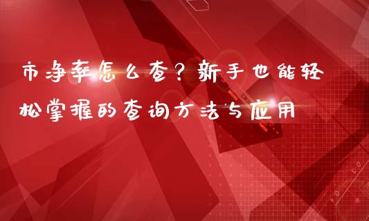 市净率怎么查？新手也能轻松掌握的查询方法与应用_https://wap.letulww.com_投资策略_第1张