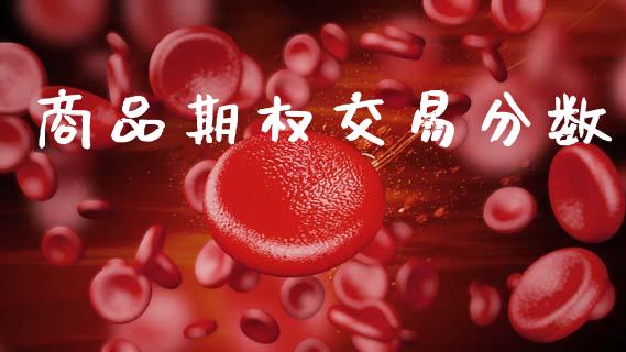 商品期权交易分数_https://wap.letulww.com_投资管理_第1张