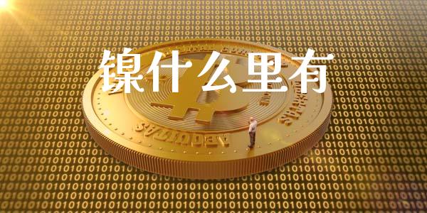 镍什么里有_https://wap.letulww.com_融资租赁_第1张