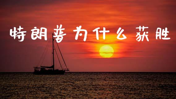 特朗普为什么获胜_https://wap.letulww.com_投资管理_第1张