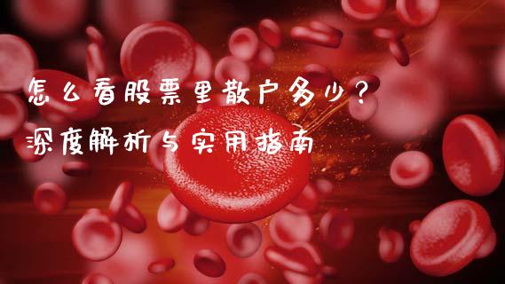 怎么看股票里散户多少？ 深度解析与实用指南_https://wap.letulww.com_融资租赁_第1张