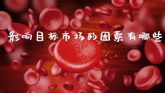 影响目标市场的因素有哪些_https://wap.letulww.com_投资管理_第1张