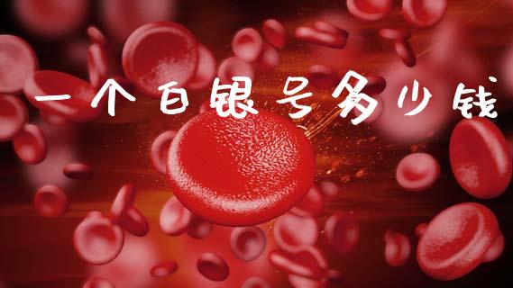 一个白银号多少钱_https://wap.letulww.com_投资管理_第1张