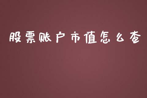 股票账户市值怎么查_https://wap.letulww.com_投资策略_第1张
