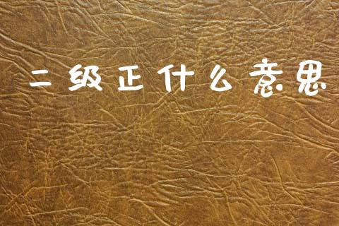 二级正什么意思_https://wap.letulww.com_融资租赁_第1张