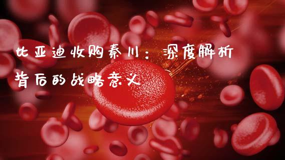 比亚迪收购秦川：深度解析背后的战略意义_https://wap.letulww.com_投资管理_第1张