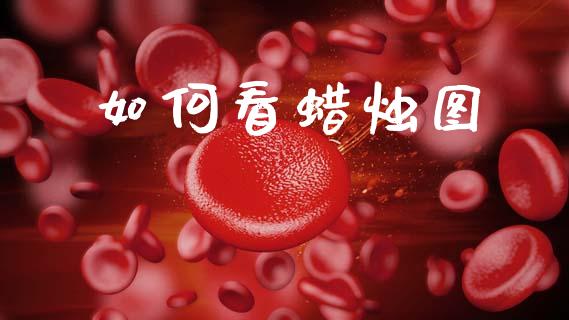 如何看蜡烛图_https://wap.letulww.com_融资租赁_第1张
