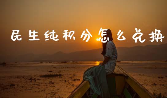民生纯积分怎么兑换_https://wap.letulww.com_融资租赁_第1张