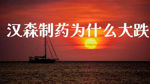 汉森制药为什么大跌_https://wap.letulww.com_投资管理_第1张