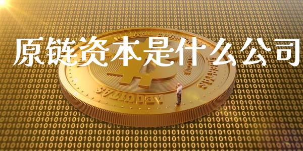 原链资本是什么公司_https://wap.letulww.com_投资策略_第1张