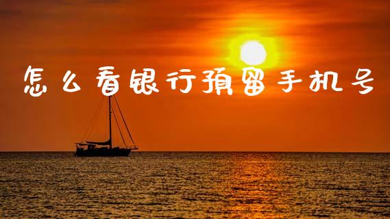 怎么看银行预留手机号_https://wap.letulww.com_投资策略_第1张