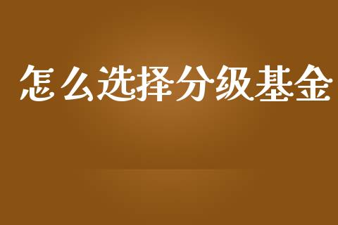 怎么选择分级基金_https://wap.letulww.com_投资策略_第1张