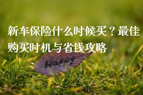 新车保险什么时候买？最佳购买时机与省钱攻略_https://wap.letulww.com_投资策略_第1张