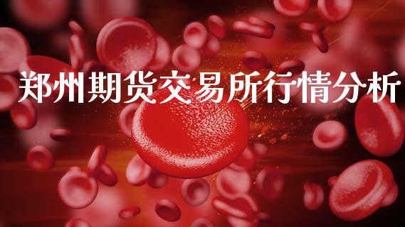 郑州期货交易所行情分析_https://wap.letulww.com_投资策略_第1张