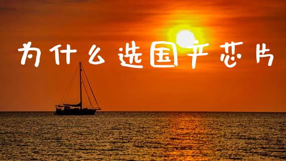 为什么选国产芯片_https://wap.letulww.com_融资租赁_第1张