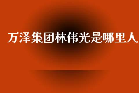 万泽集团林伟光是哪里人_https://wap.letulww.com_外汇交易_第1张