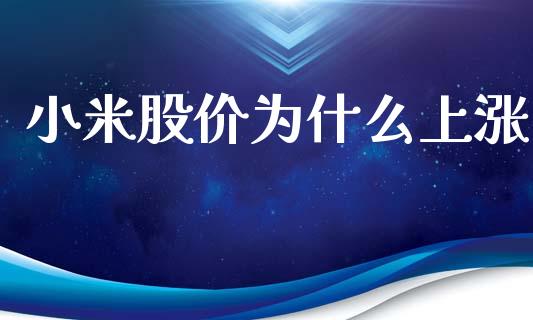 小米股价为什么上涨_https://wap.letulww.com_投资策略_第1张
