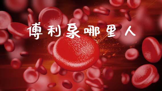 傅利泉哪里人_https://wap.letulww.com_外汇交易_第1张