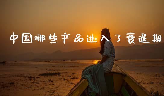 中国哪些产品进入了衰退期_https://wap.letulww.com_外汇交易_第1张