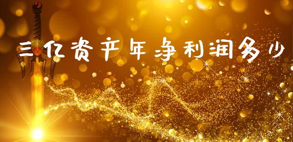三亿资产年净利润多少_https://wap.letulww.com_投资管理_第1张