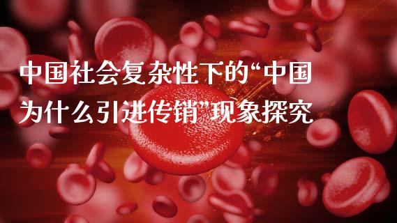 中国社会复杂性下的“中国为什么引进传销”现象探究_https://wap.letulww.com_外汇交易_第1张