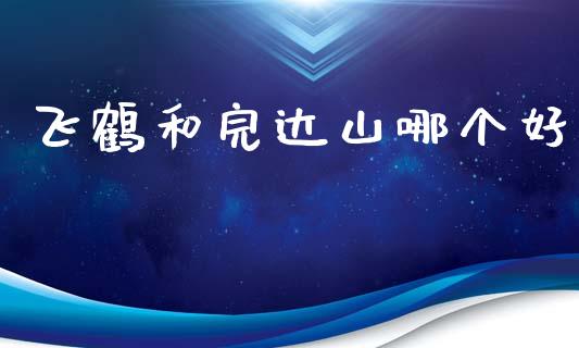 飞鹤和完达山哪个好_https://wap.letulww.com_外汇交易_第1张