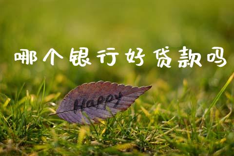 哪个银行好贷款吗_https://wap.letulww.com_投资管理_第1张
