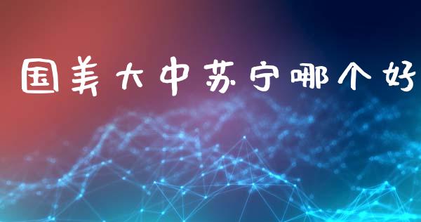 国美大中苏宁哪个好_https://wap.letulww.com_外汇交易_第1张
