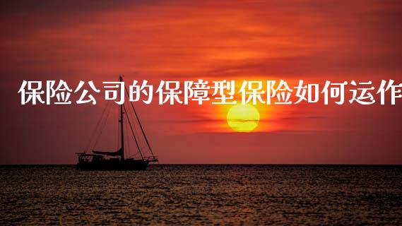 保险公司的保障型保险如何运作_https://wap.letulww.com_外汇交易_第1张