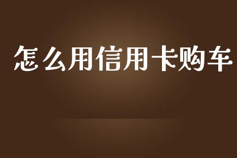 怎么用信用卡购车_https://wap.letulww.com_投资管理_第1张