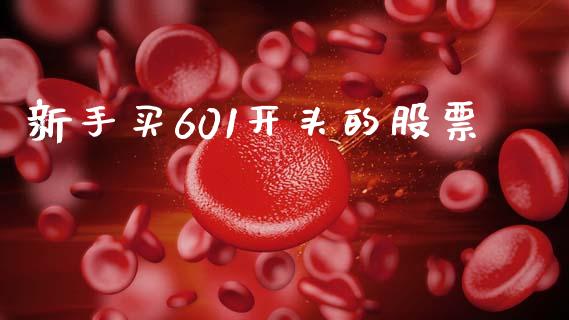 新手买601开头的股票_https://wap.letulww.com_融资租赁_第1张