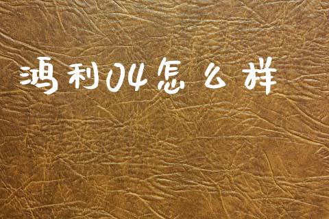 鸿利04怎么样_https://wap.letulww.com_融资租赁_第1张