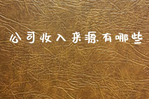 公司收入来源有哪些_https://wap.letulww.com_投资策略_第1张