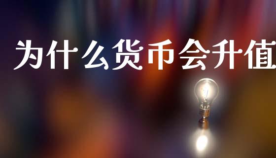 为什么货币会升值_https://wap.letulww.com_投资管理_第1张