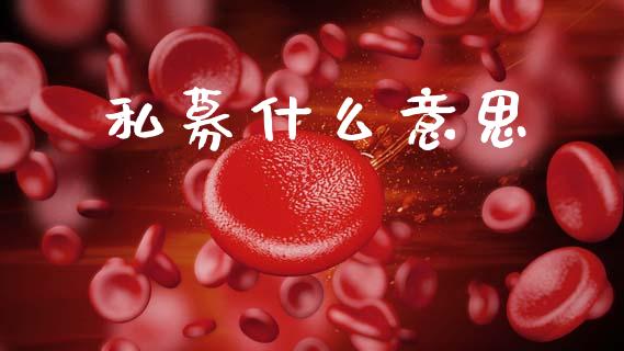 私募什么意思_https://wap.letulww.com_投资策略_第1张