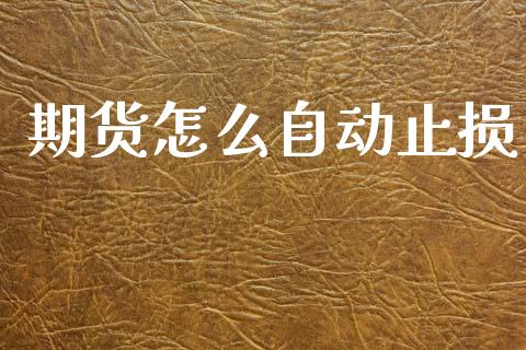 期货怎么自动止损_融资租赁_第1张_外汇交易_投资策略_融资租赁_投资管理 期货怎么自动止损_https://wap.letulww.com_融资租赁_第1张