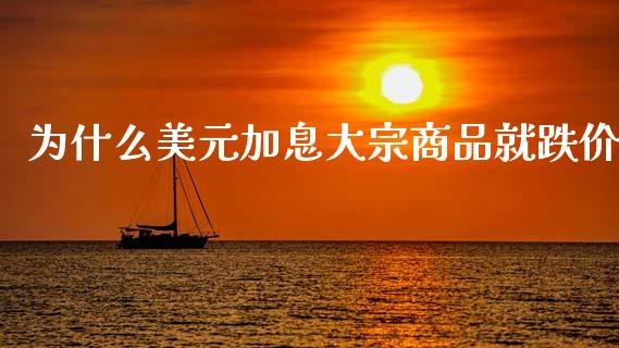 为什么美元加息大宗商品就跌价_https://wap.letulww.com_外汇交易_第1张