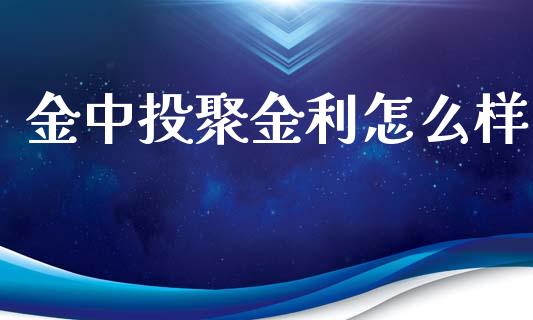 金中投聚金利怎么样_https://wap.letulww.com_融资租赁_第1张