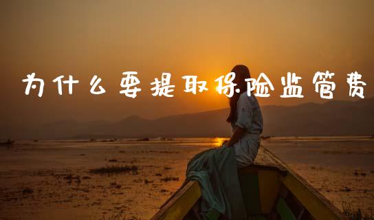 为什么要提取保险监管费_https://wap.letulww.com_投资策略_第1张